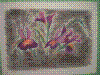 flower show2004 121.jpg